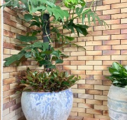 Gạch cổ ốp , lát , lát sân vườn KT 230x65x14mm